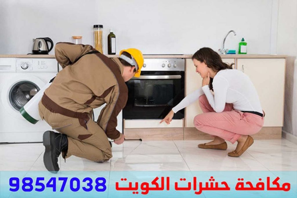 حشرات الكويت